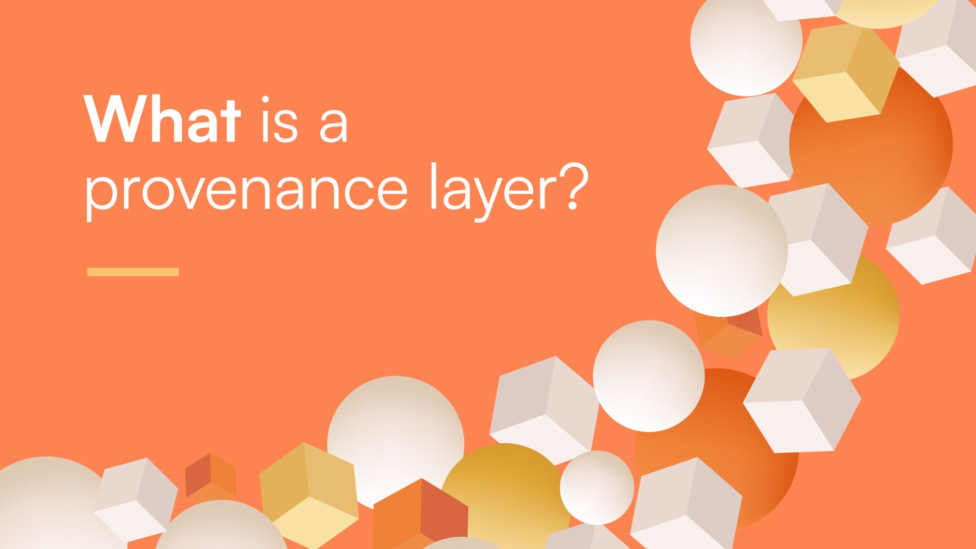 What is a provenance layer?
